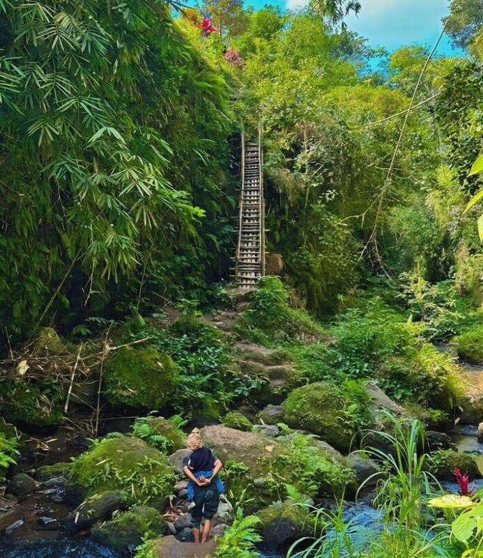 tetebatu-waterfall-rice-fields-monkey-forest-full-day