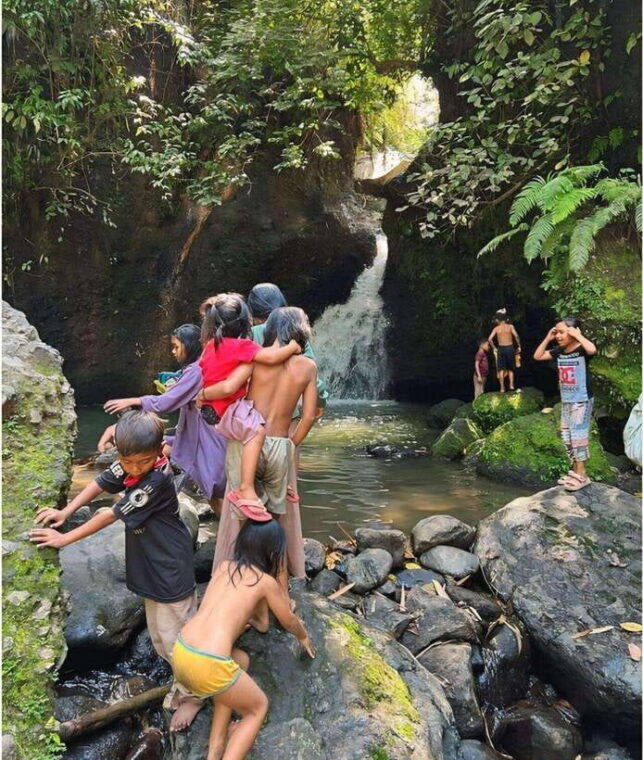 tetebatu-waterfall-rice-fields-monkey-forest-full-day