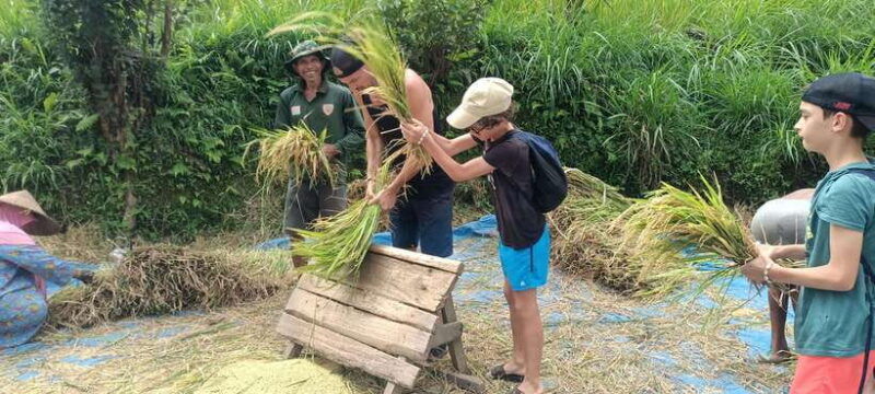 tetebatu-waterfalls-spices-rice-terrace-monkey-forest