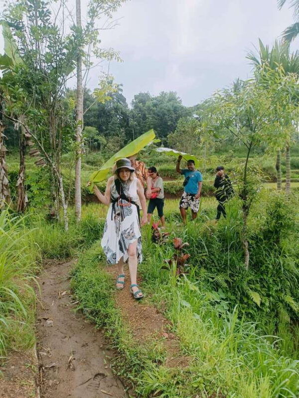tetebatu-waterfalls-spices-rice-terrace-monkey-forest