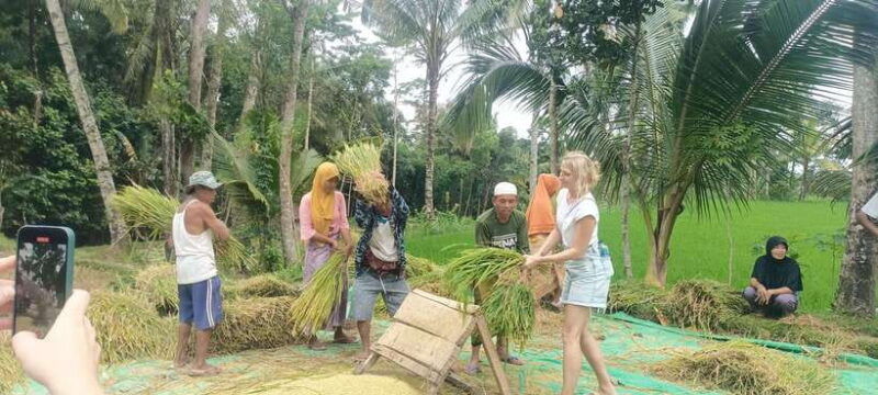 tetebatu-waterfalls-spices-rice-terrace-monkey-forest
