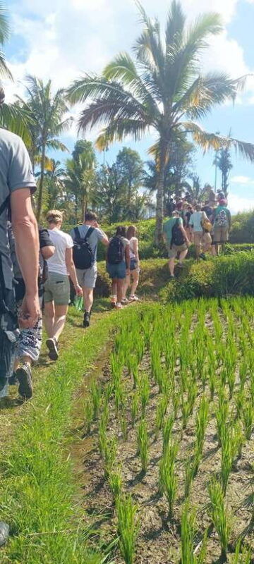 tetebatu-waterfalls-spices-rice-terrace-monkey-forest