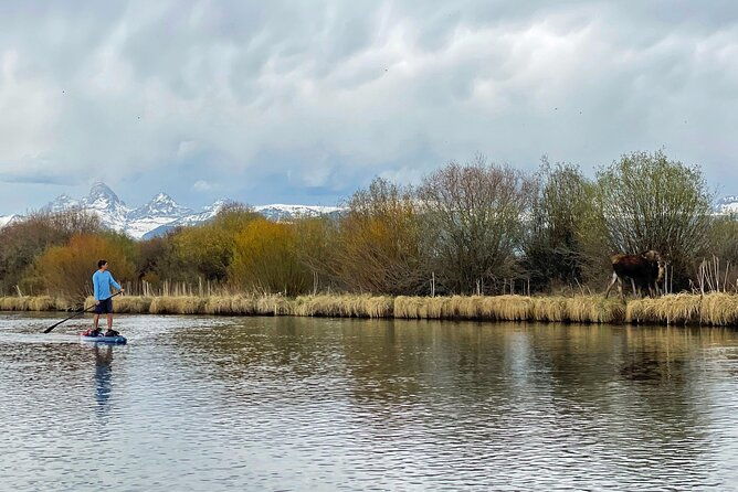 teton-river-paddleboard-adventure-4-5-miles