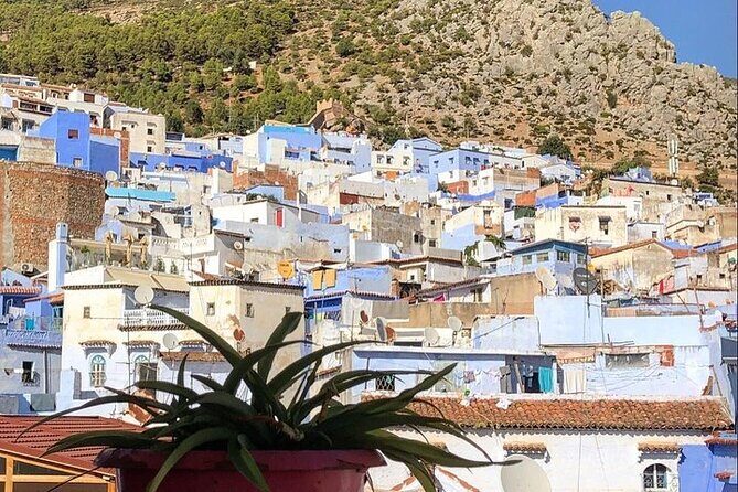Tetouan & Chefchaouen Blue City Day Trip from Tangier - FAQs
