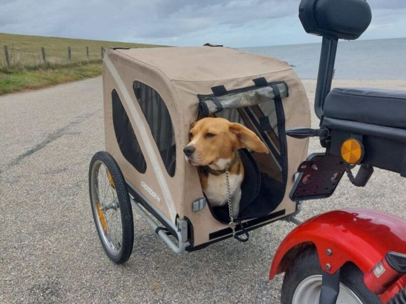 texel-e-scooter-rental