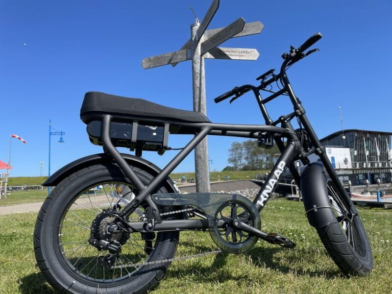 texel-electric-fatbike-rental