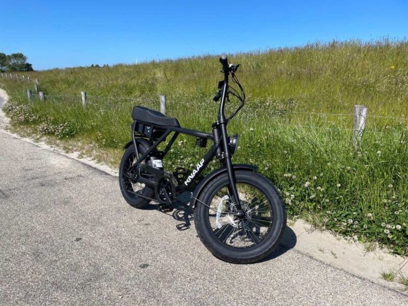Texel: Electric Fatbike Rental with Map - Who Will Love This Experience?