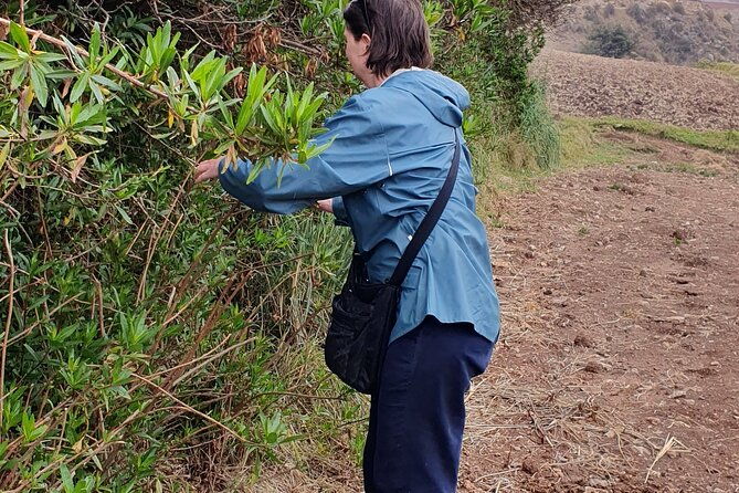 textile-and-dyeing-experience