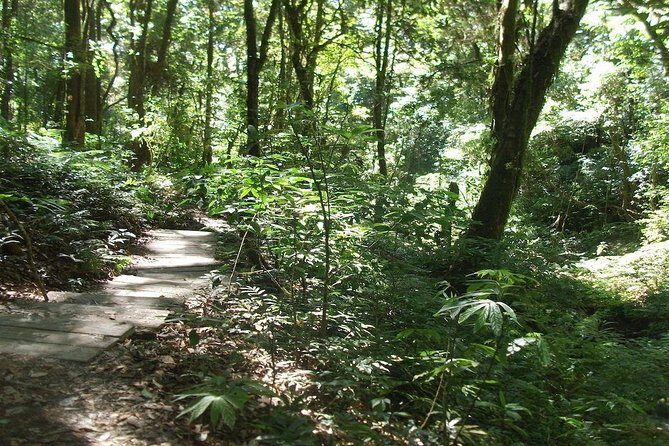 Thailands Highest Peak: Doi Inthanon National Park Experience - Transportation and Accessibility