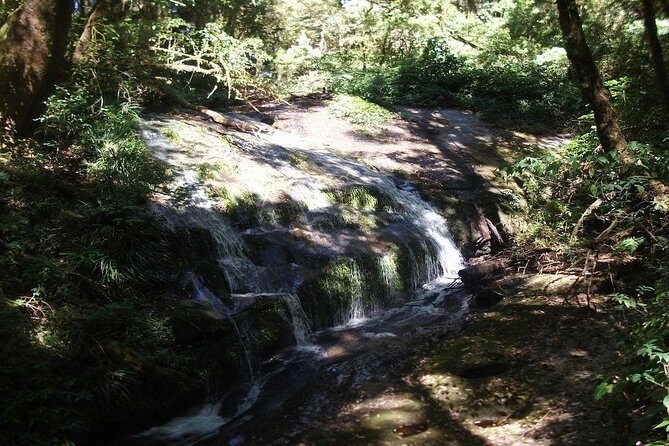 Thailands Highest Peak: Doi Inthanon National Park Experience - The Guide and Overall Experience