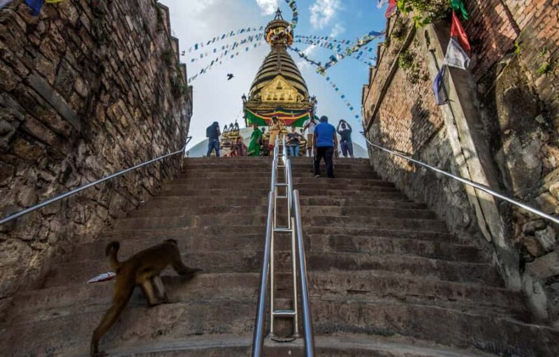 Thamel and Swayambhunath (Monkey Temple) Walking Tour - The UNESCO World Heritage Site