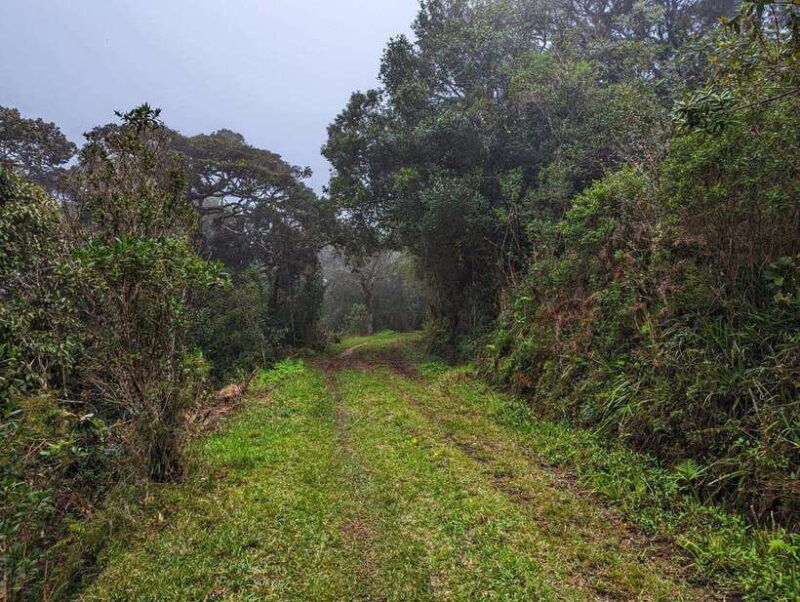 thangappuwa-falls-explore-one-of-knuckles-7-cascades
