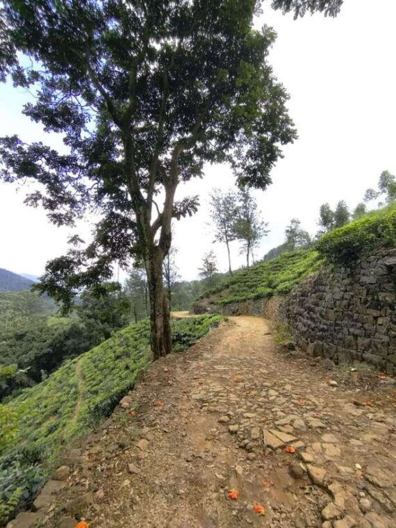 thangappuwa-falls-explore-one-of-knuckles-7-cascades