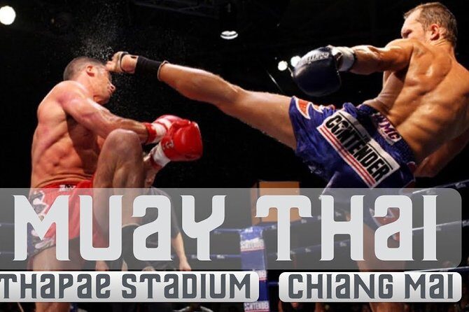 Thapae Stadium Muay Thai Boxing Experience  Chiang Mai - Key Points