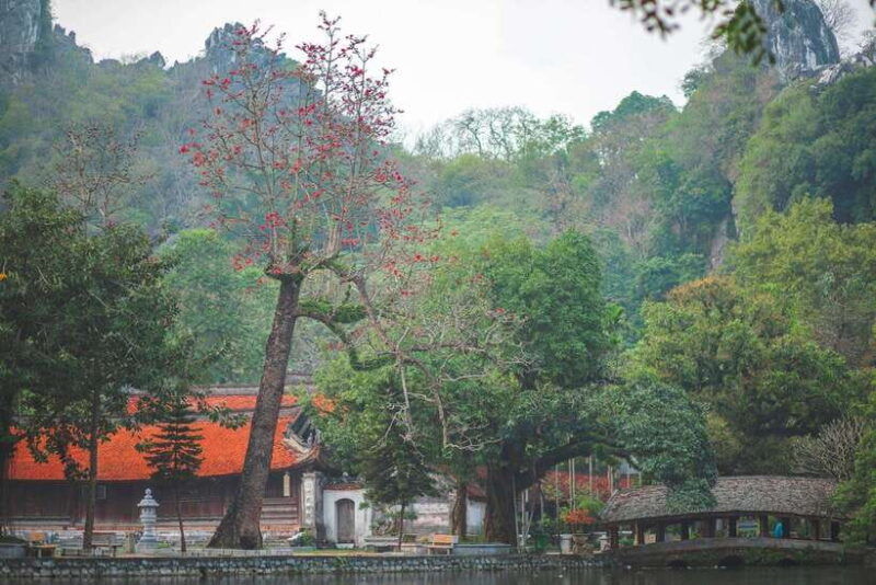 thay-pagoda-duong-lam-ancient-village-1-day-private-trip