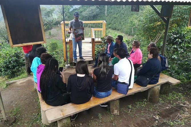 the-acacias-coffe-farm