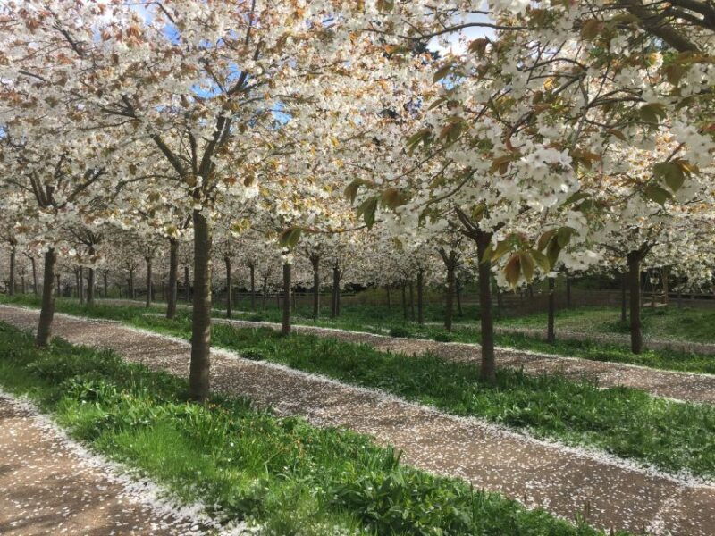 the-alnwick-garden-entry-ticket