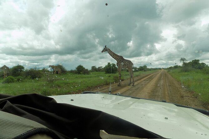 The Amaizing Private Day Trip to the lovely Arusha National Park - Exploring the Itinerary in Detail