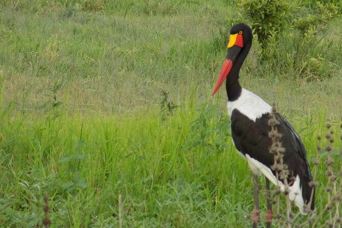 The Amaizing Private Day Trip to the lovely Arusha National Park - FAQ
