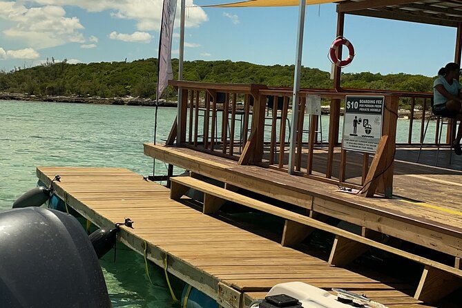 the-amazing-party-excursion