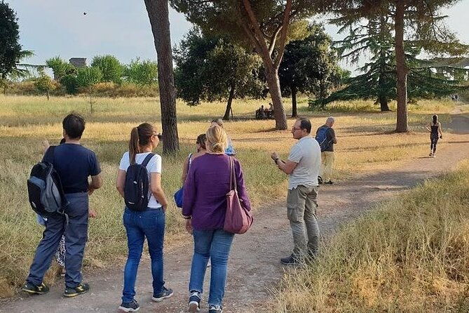 the-ancient-aqueducts-of-rome