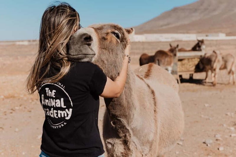 The Animal Academy - Shelter Tour - Key Points