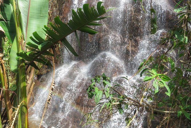 the-anti-coffee-tour-a-visit-to-la-cascada-arcoiris-farm