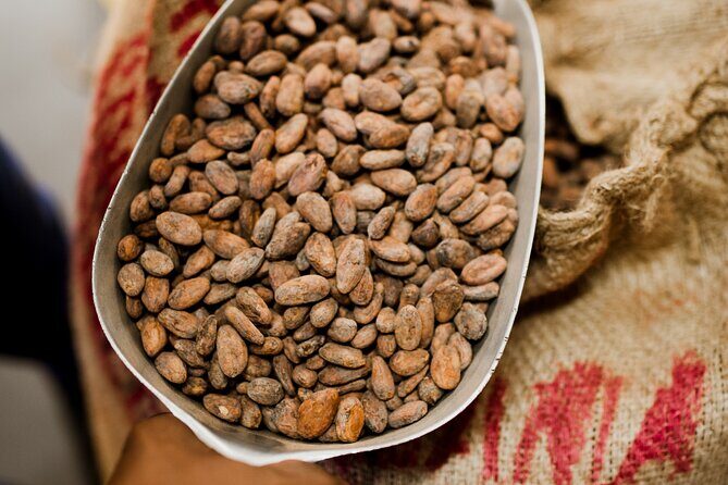 The Art of Chocolate Making Bean-To-Bar Experience in Cape Town - Summary: Who Will Love This Tour?