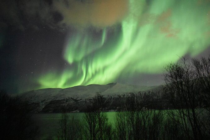 the-aurora-tour-small-group-northern-lights