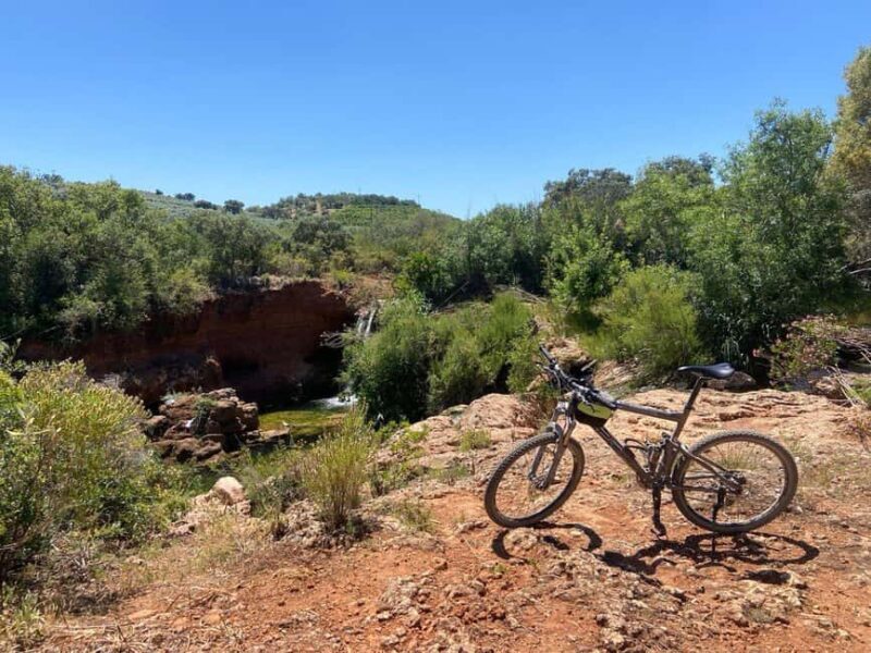 The authentic Algarve by bike: Between villages, beaches, and nature - Who Should Consider This Tour?