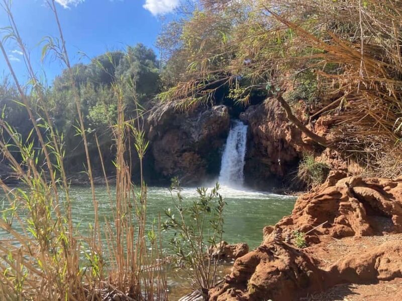 The authentic Algarve by bike: Between villages, beaches, and nature - In The Sum Up