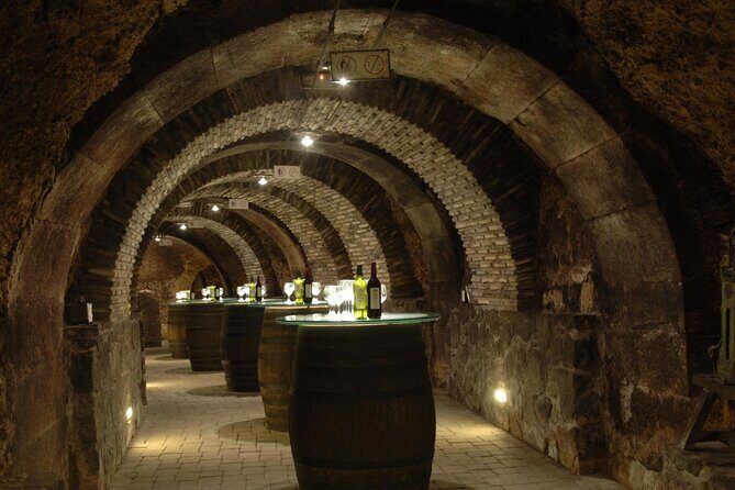The Authentic Rioja Alavesa wine experiences - Final Thoughts