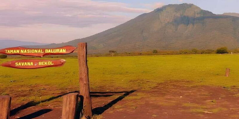 the-authentic-sunset-of-baluran-national-park-banyuwangi