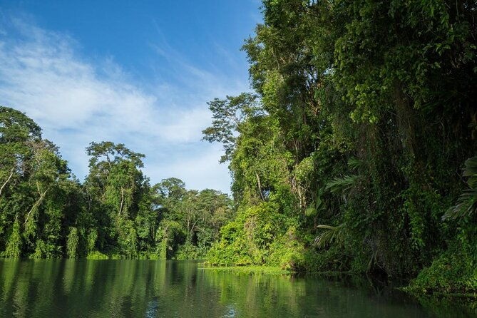 the-authentic-tortuguero-national-park-one-day-tour