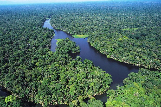 the-authentic-tortuguero-national-park-one-day-tour