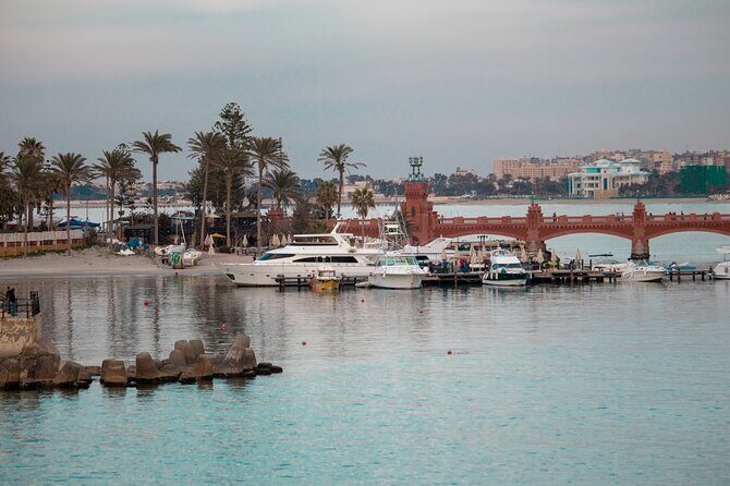 The Battlefield of El Alamein from Alexandria Port - Cost and Value: Is It Worth It?