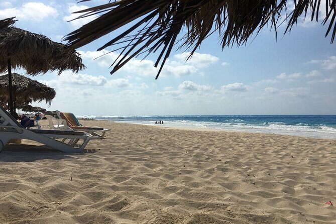 The Battlefield of El Alamein from Alexandria Port - Who Will Enjoy This Tour?