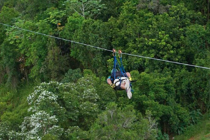 the-beast-zipline-at-toroverde-adventure-park-in-puerto-rico