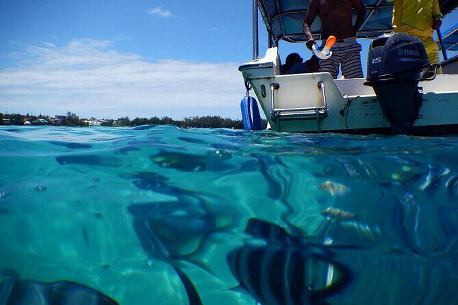 The beautiful East of Mauritius:incl Blue-Bay Marine Park, Crocodile park &Lunch - Frequently Asked Questions