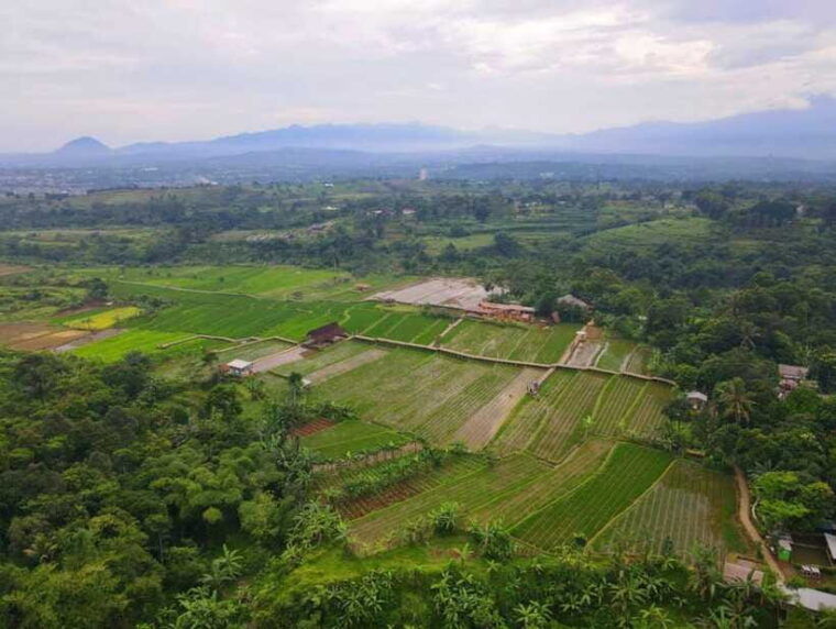 the-beautiful-garden-rice-terrace-and-waterfall-in-bogor
