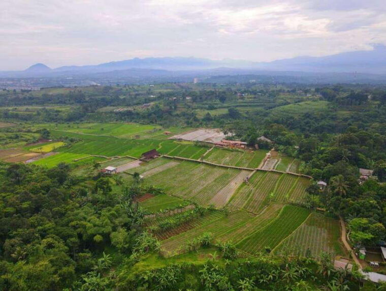 the-beautiful-garden-rice-terrace-and-waterfall-in-bogor