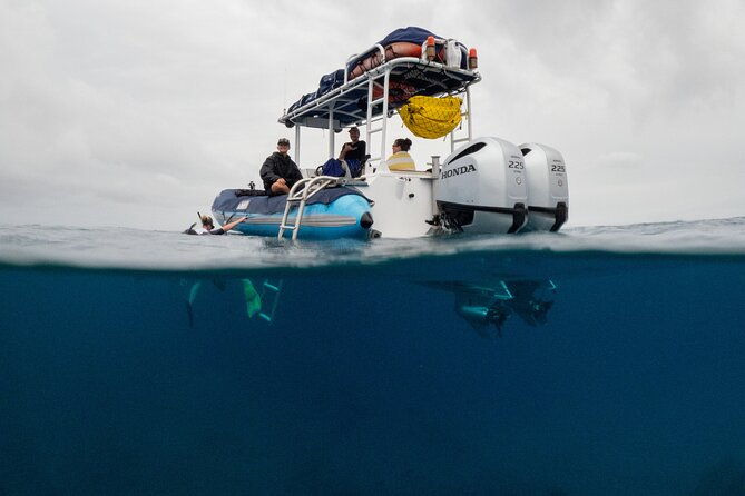 the-best-2-5-hour-molokini-snorkel-tour-whale-watch