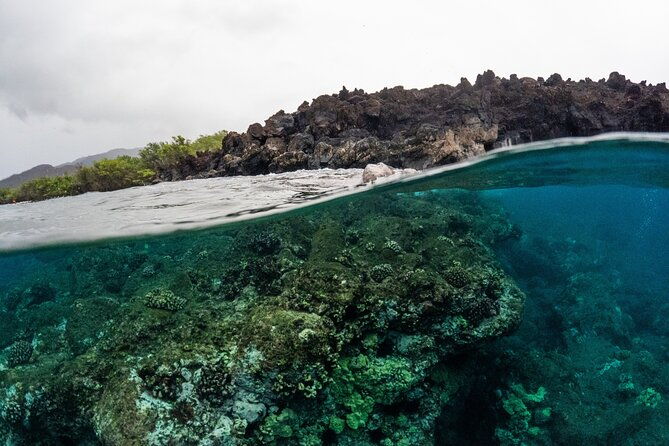 the-best-2-5-hour-molokini-snorkel-tour-whale-watch