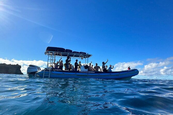 the-best-2-5-hour-molokini-snorkel-tour-whale-watch