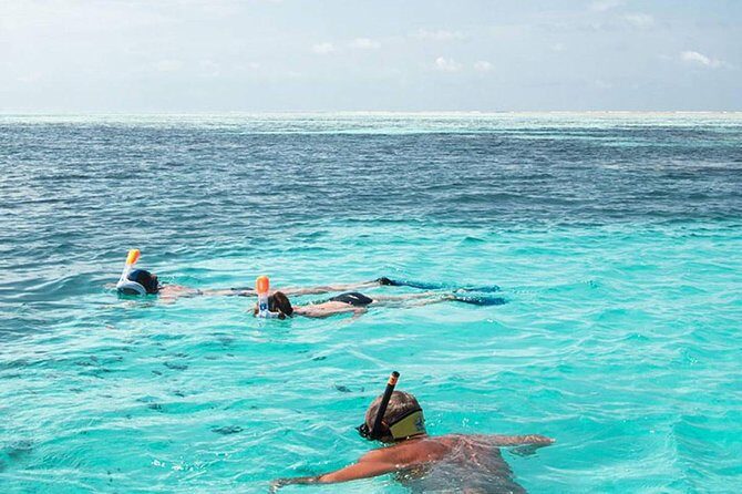 The Best 2-point Snorkeling in Padangbai: Blue lagoon and Tanjung jepun - Key Points