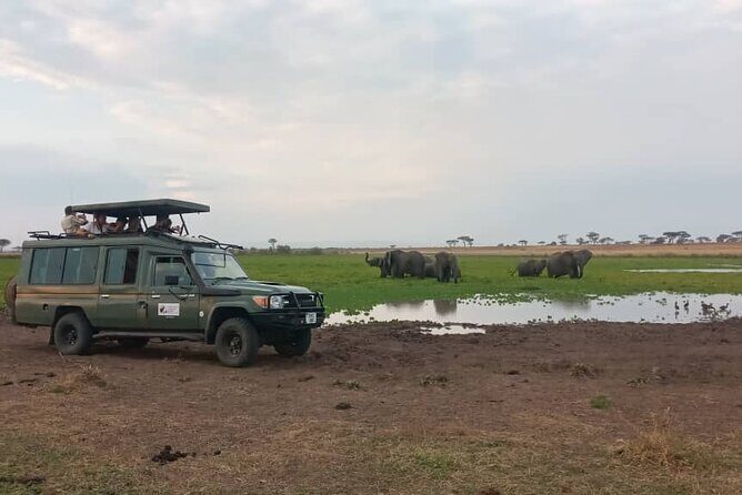The Best 3Days Start from Mwanza to Serengeti' through Viator - The Details of Your 3-Day Serengeti Adventure