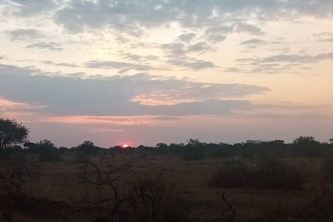 The Best 3Days Start from Mwanza to Serengeti' through Viator - Who Should Consider This Safari?