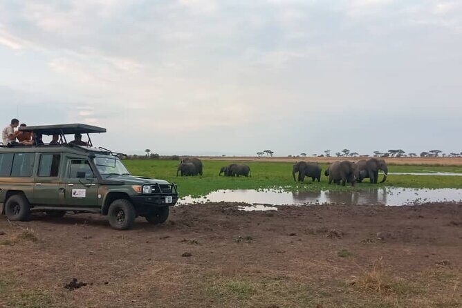 The Best 3Days Start from Mwanza to Serengeti' through Viator - FAQs
