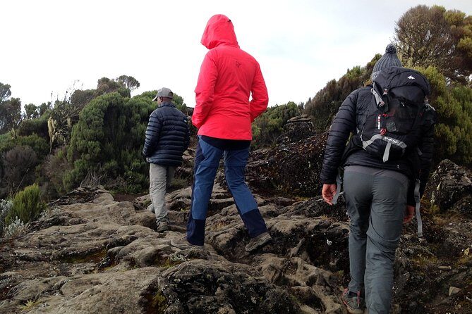 The best 6-Days Kilimanjaro hiking (Machame route)whiskey route - What Makes This Tour Stand Out
