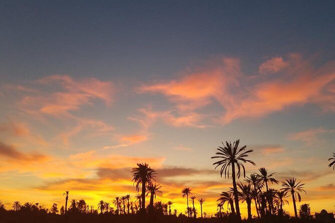 the best Camel ride exp in desert of Marrakech - Key Points